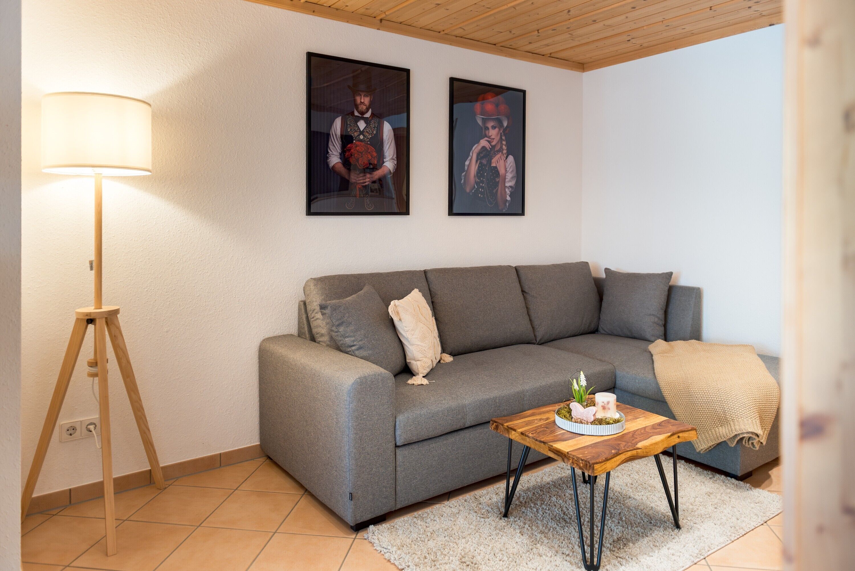 Fernseher