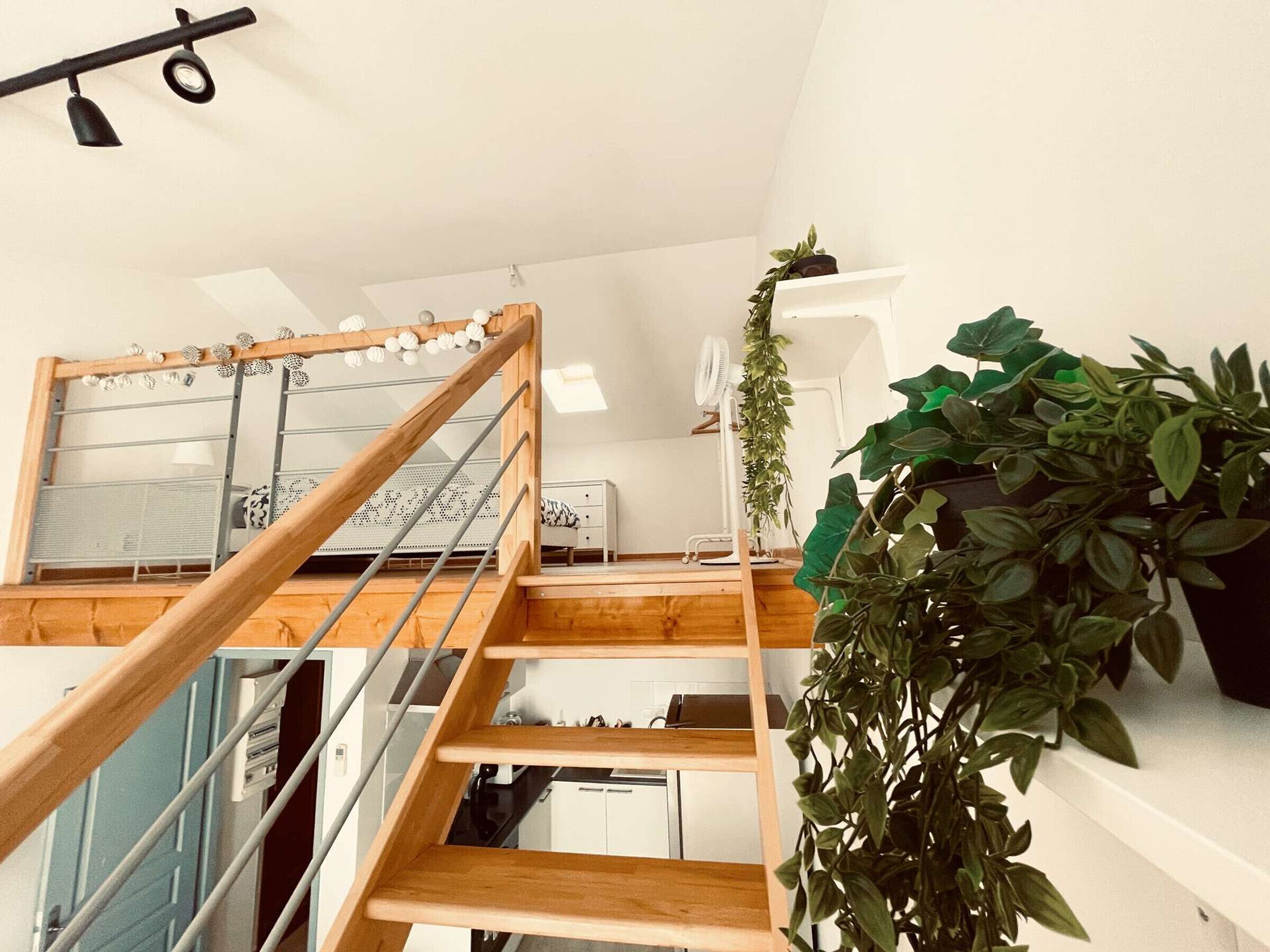 A staircase with wooden railings and a glass balustrade leading to a second-floor area with a white ceiling and a plant.