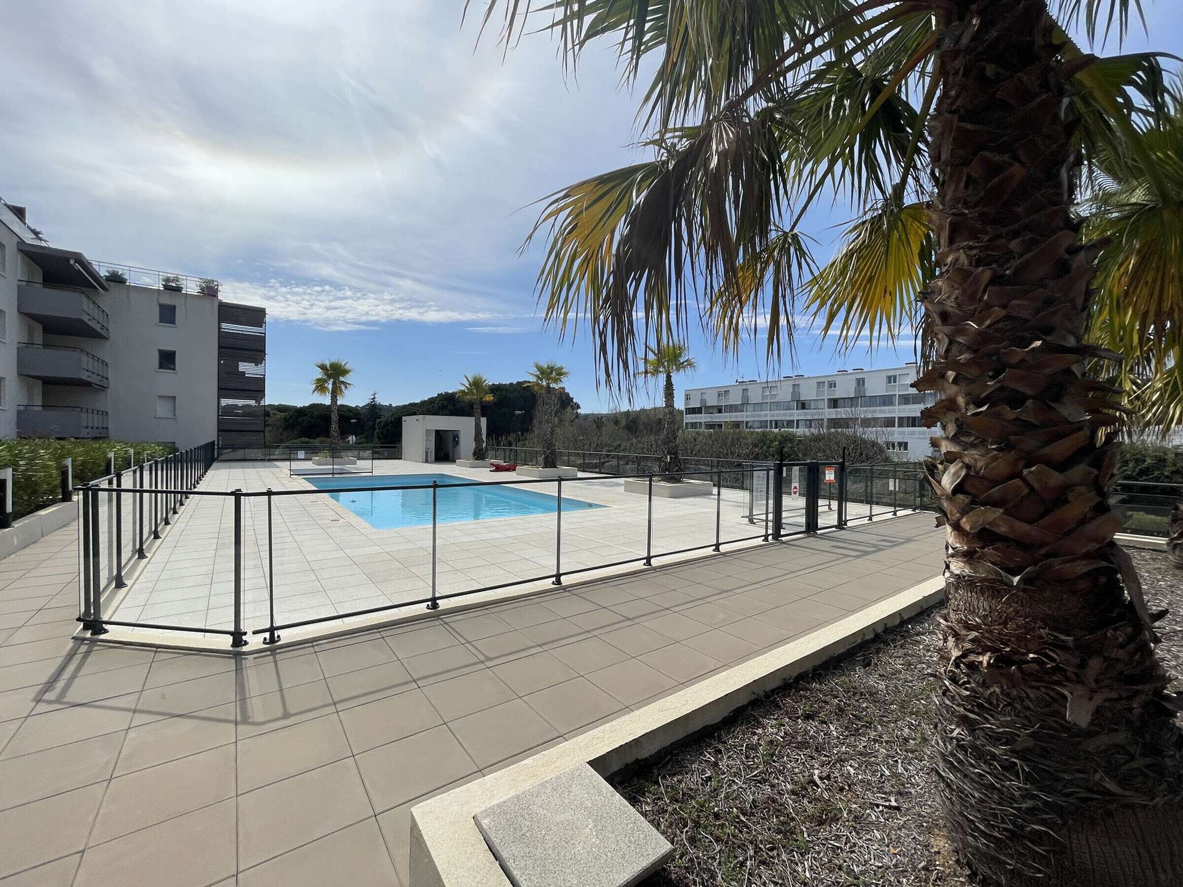 A rooftop pool area with a clear sky, surrounded by buildings and palm trees.