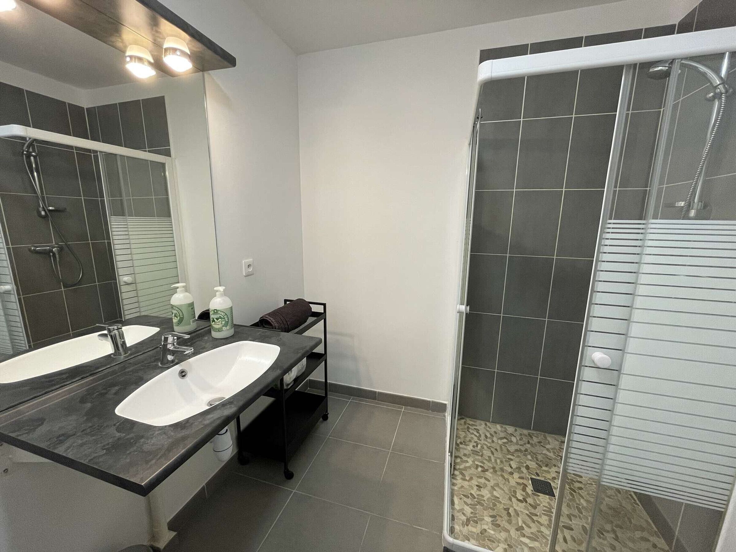 Een badkamer met twee wastafels, een douche en een spiegel.
