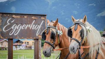 Two horses with bridles and a sign that reads 'Eggerhof'.