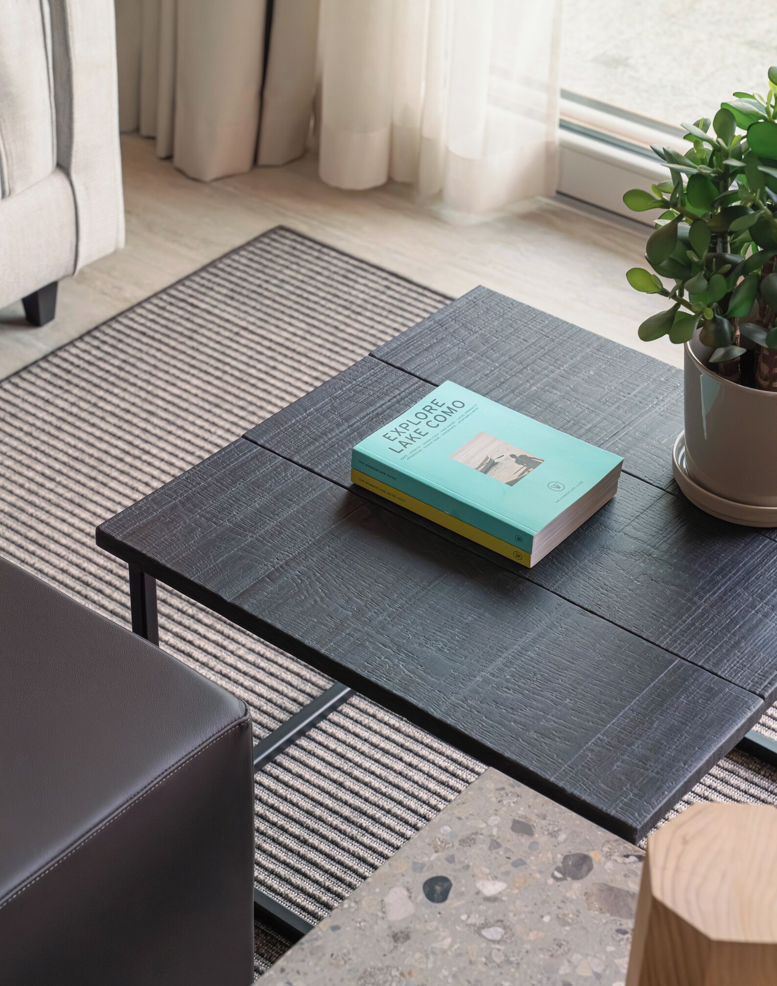 Un salon moderne avec une table basse de couleur sombre, un livre intitulé « À la découverte du lac de Côme », une plante en pot et un canapé.