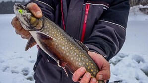A person holding a fish with a pattern of spots.