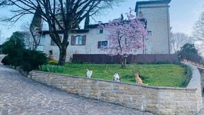 A stone wall with three cats sitting on it. - Adagio Umbro rooms B&B Tennis Court (Spoleto)