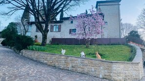 A stone wall with three cats sitting on it. - Adagio Umbro rooms B&B Tennis Court (Spoleto)