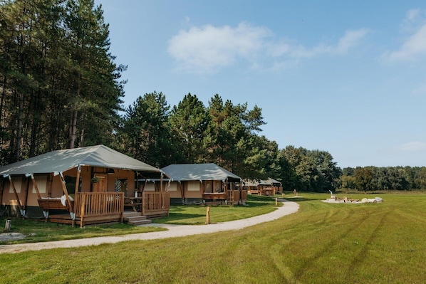 A row of wooden cabins with attached porches, surrounded by a grassy field and dense trees.