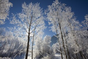 A snowy forest with trees covered in ice. - Stylish Apartment With Mountain Views (Mittersill)
