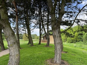 A grassy area with trees and a wooden structure. - De Glamping - Sunny Lodge | Sleeps 6 (Zeewolde)
