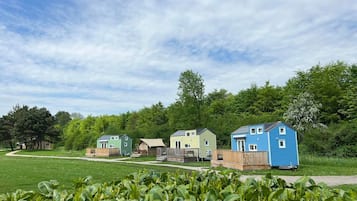 Een rij kleurrijke bungalows met een gazon en bomen op de achtergrond.