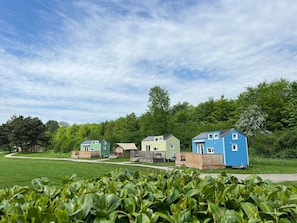 Eksteriør