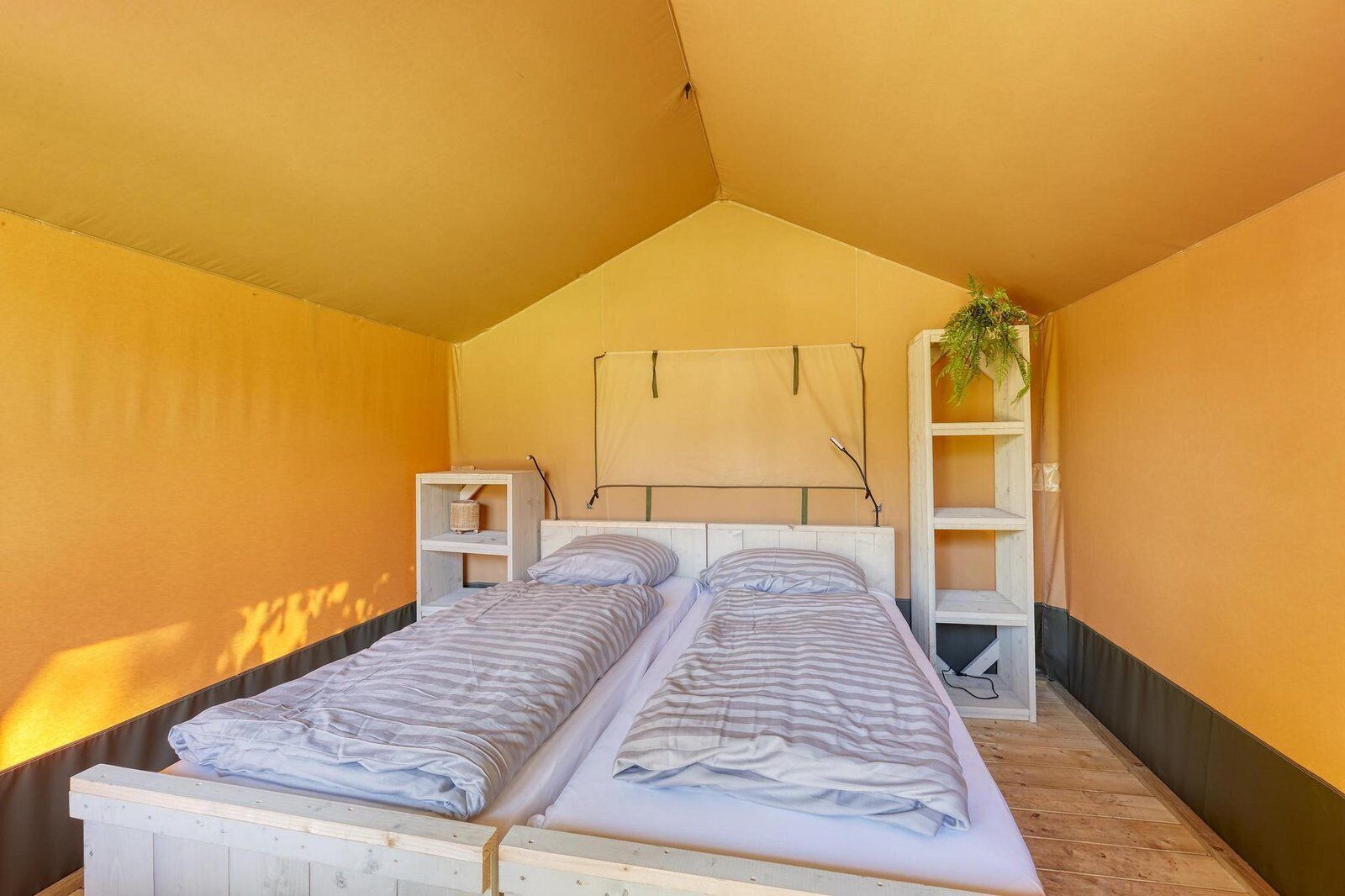 Een compacte, eenpersoonskamer met twee bedden, een kast en een hangplant.