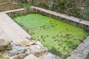 A rectangular pond with green algae, surrounded by stone walls and a stone pathway. - #110 Charming Country Stay at Brook Farm, Somerset (Whatley)