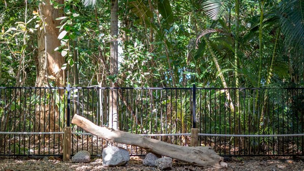 A naturalistic enclosure with a variety of trees and a wooden log structure.
