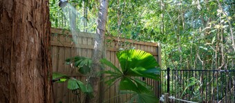 Driftwood- Pet friendly home next to the ocean