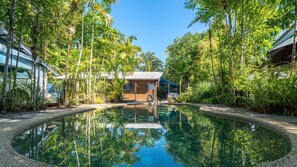 A pool surrounded by tropical vegetation, a wooden structure, and modern buildings.