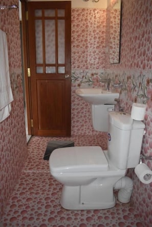 Ducha, toallas, jabón y champú