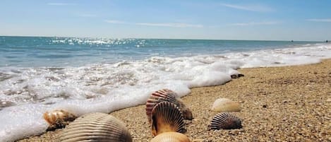海灘