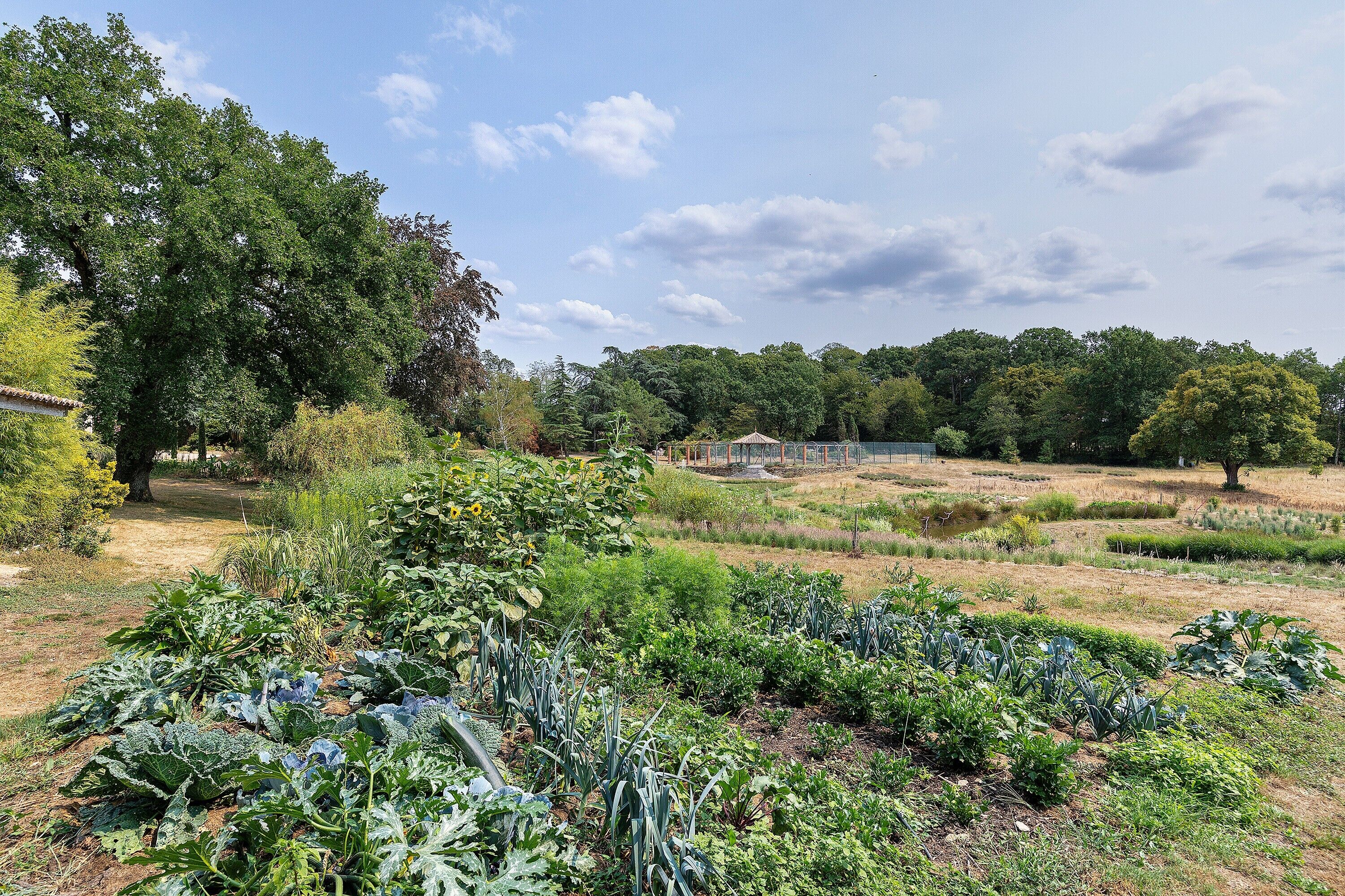 A garden with various plants and trees, a small structure, and a clear sky.