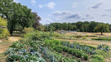 A garden with various plants and trees, a small structure, and a clear sky.