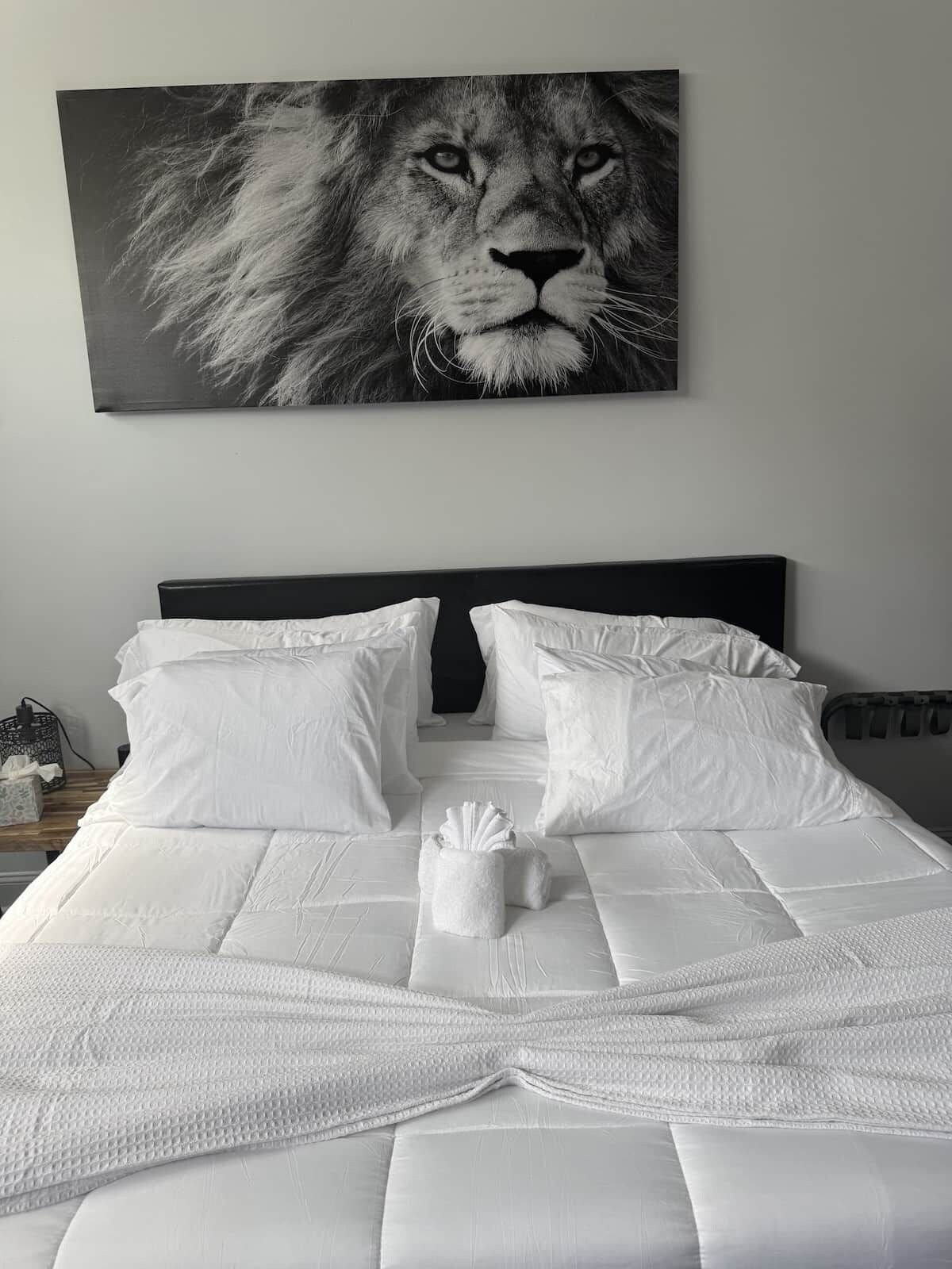 A neatly made bed with white bedding and pillows, a black headboard, and a large black and white photograph of a lion's face on the wall above the bed.