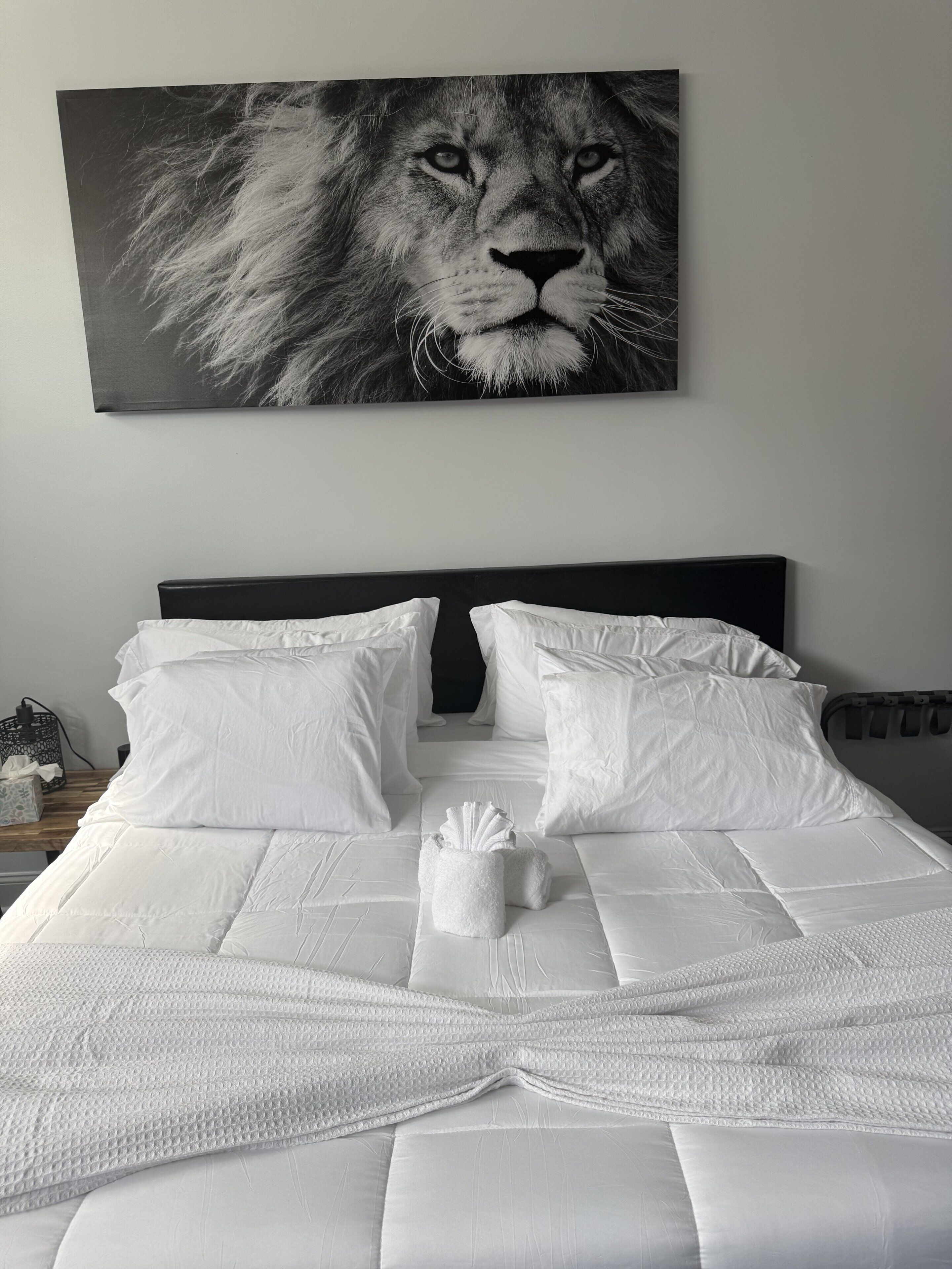 A neatly made bed with white bedding and pillows, a decorative pillow arrangement, and a large black and white lion print above the bed.
