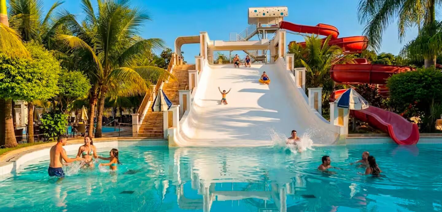 A water park with a large water slide, pool, and palm trees.