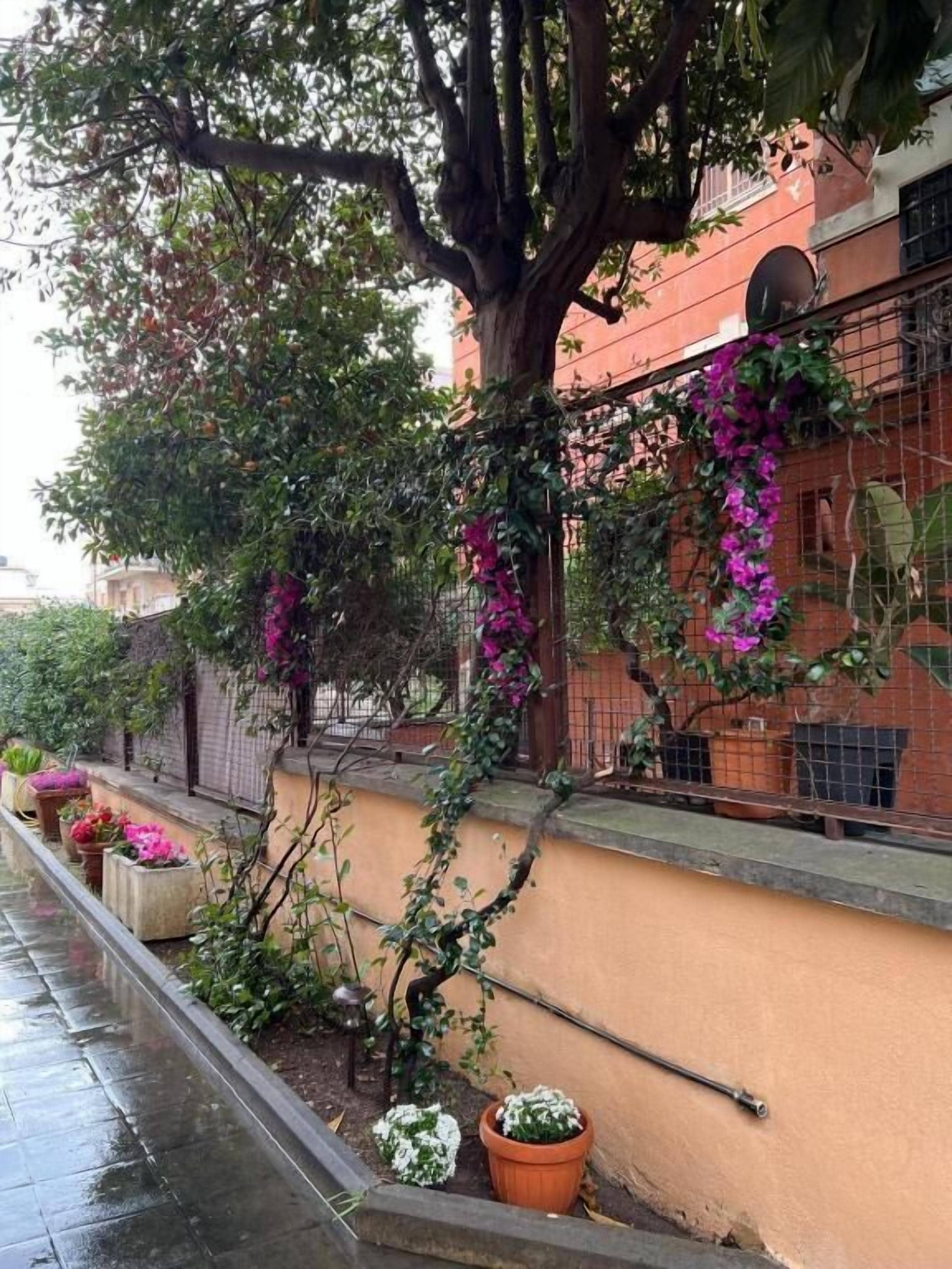 花園