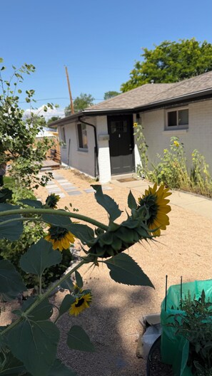 Ein Wohngebiet mit einem Haus, einem Garten mit Sonnenblumen und blauem Himmel.