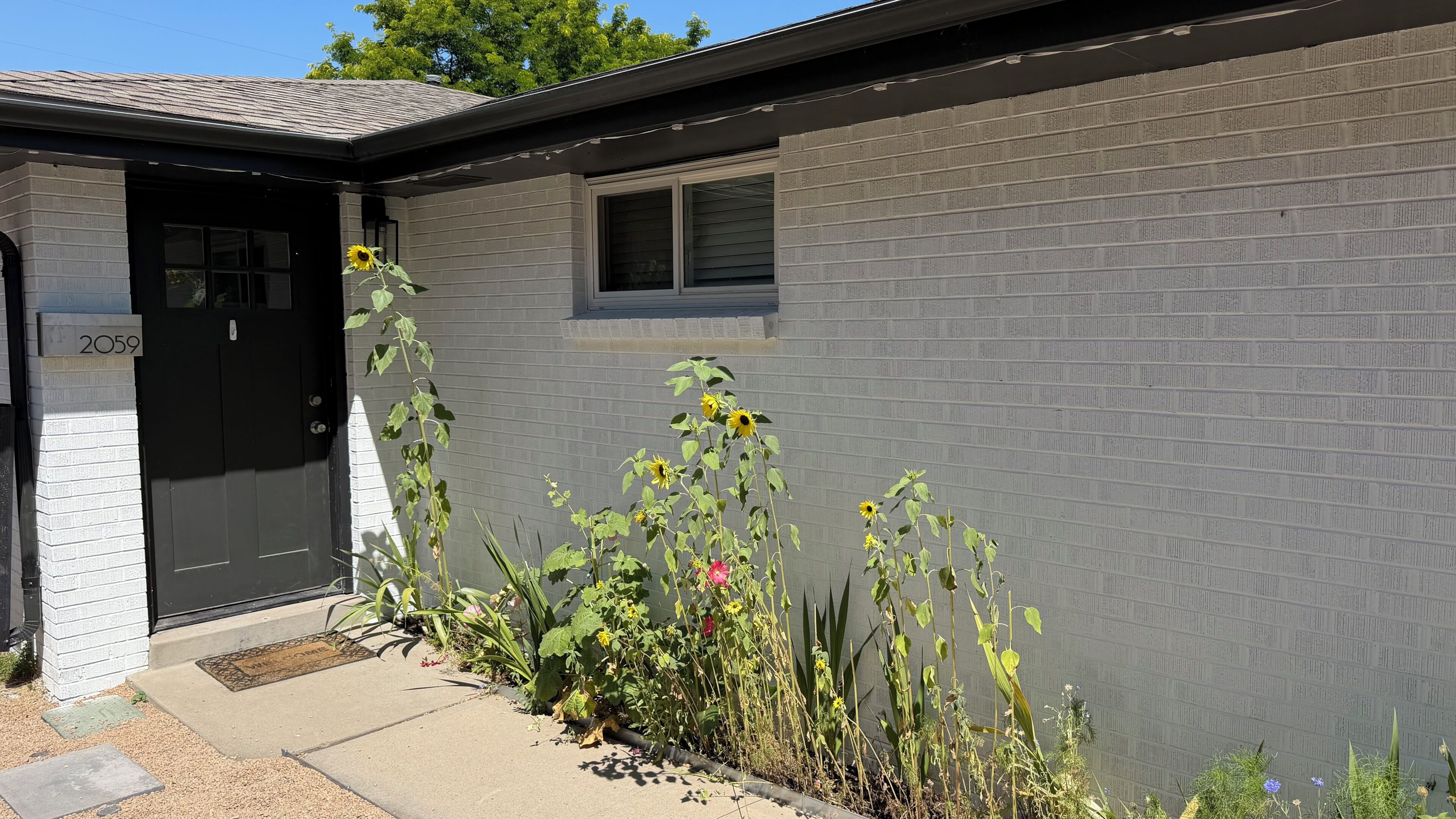 A residential building with a black door, a mailbox, and a small window.