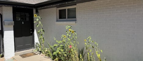 A residential building with a black door, a mailbox, and a small window.