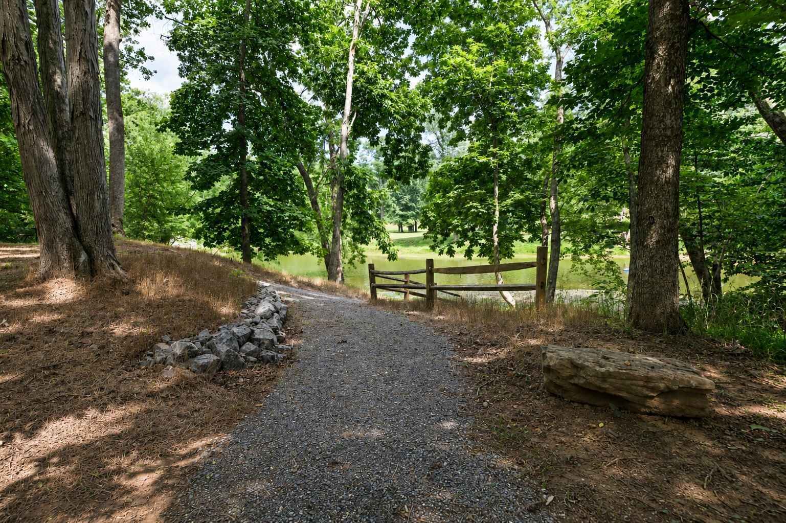 A gravel path leading to a wooden bench overlooking a body of water, surrounded by trees.