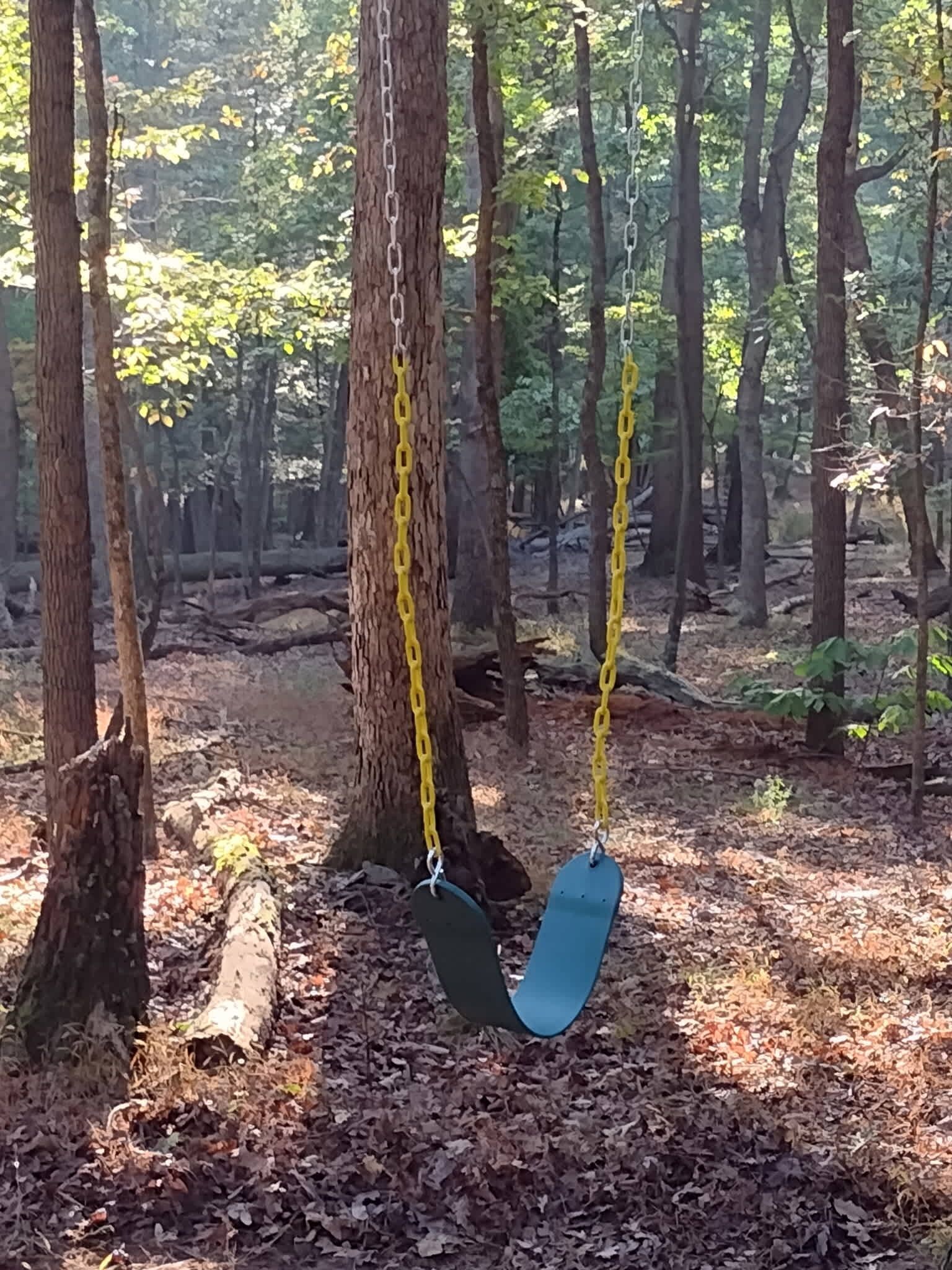 A swing set in a forested area.
