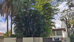 Una propiedad cercada con un gran árbol en primer plano, un edificio con techo de tejas y una pared con cámara de seguridad y buzón.
