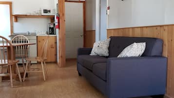 Télévision, cheminée, lecteur de DVD, livres