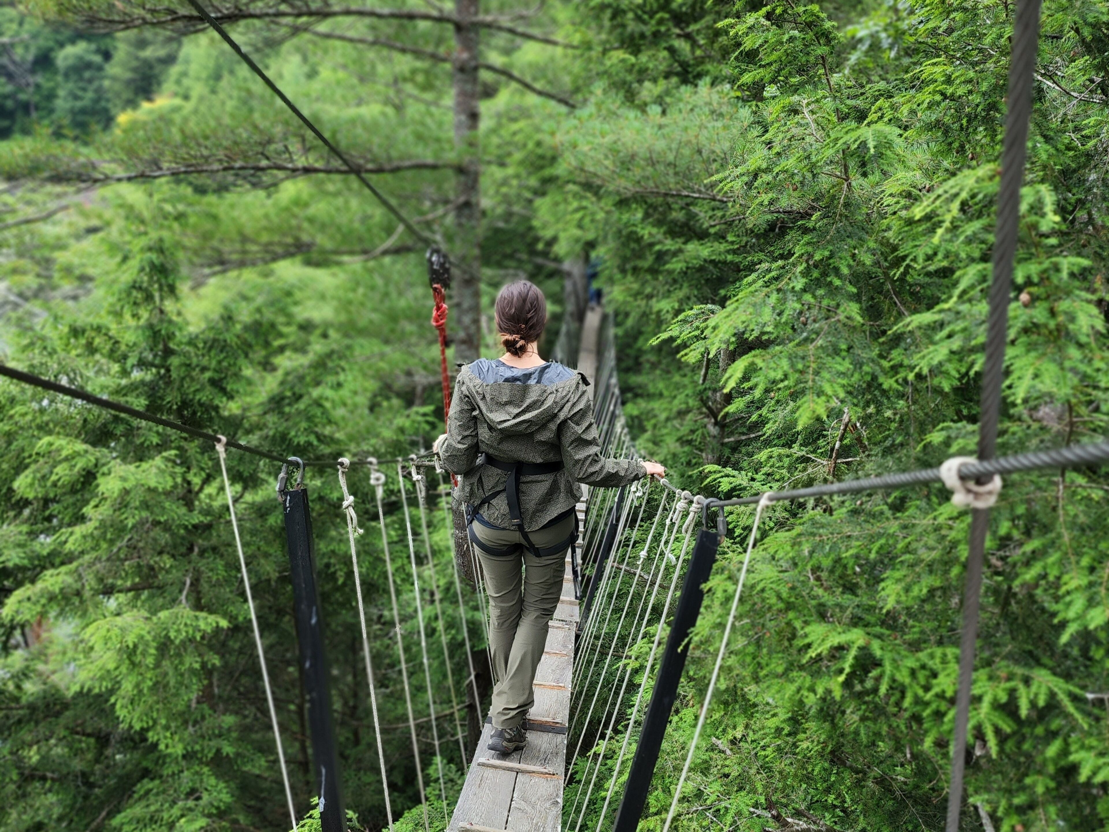Une personne marchant sur un pont suspendu dans une zone boisée.