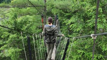 A person walking on a suspension bridge in a forested area.