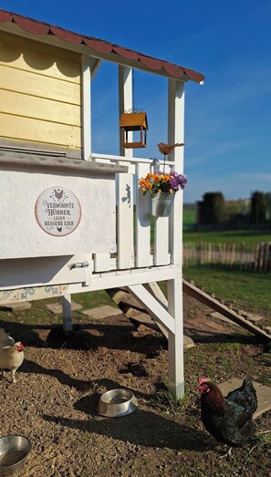 A white wooden structure with a sign that reads 'VERWONNTE HÜHNER LAGEN BESSERE EIER'.