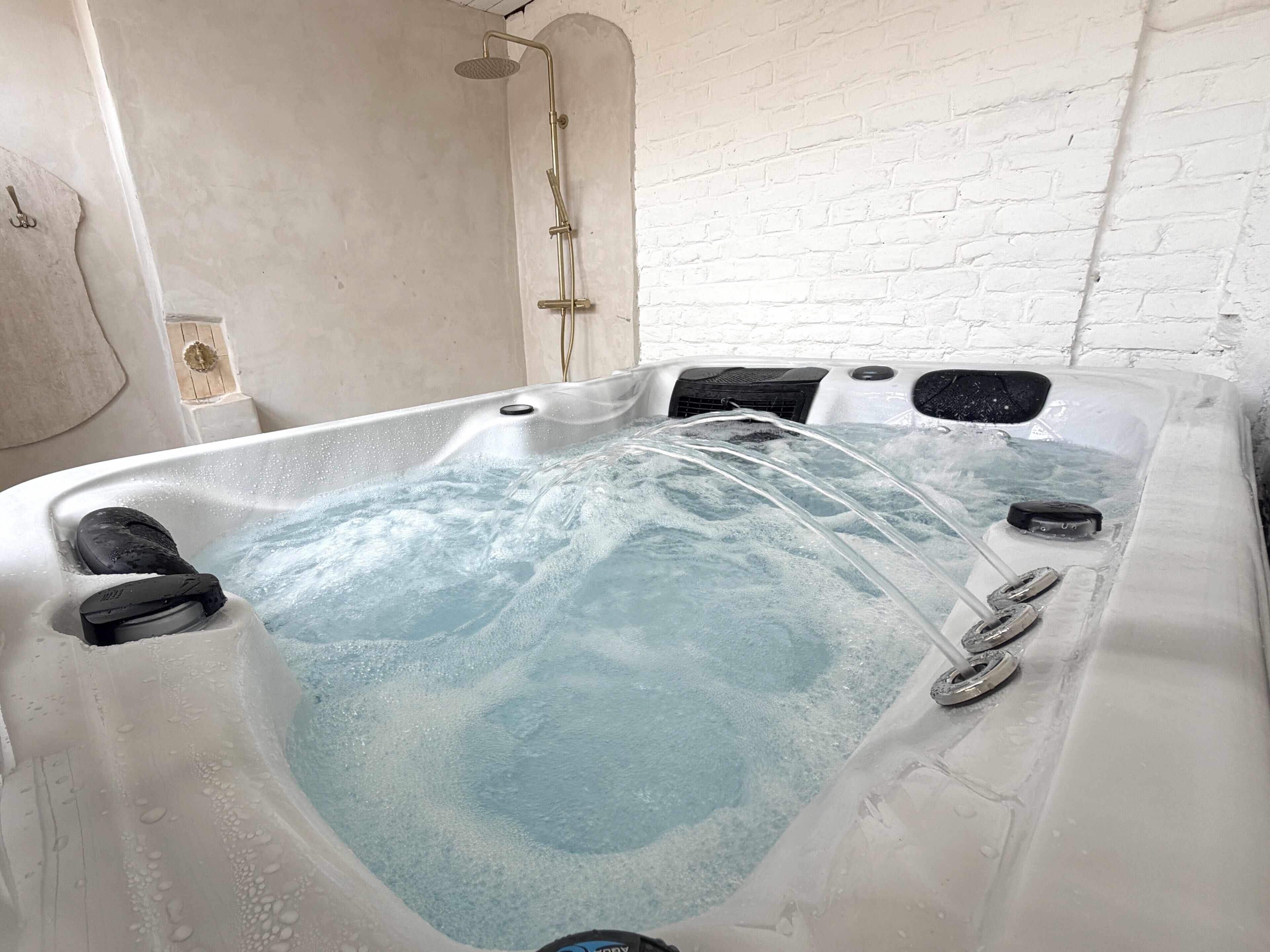 A hot tub with water jets, a control panel, and a showerhead.