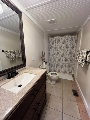Bathroom - Charming 3-bedroom 2 bathroom home on the outskirts of Camilla Georgia. (Camilla)