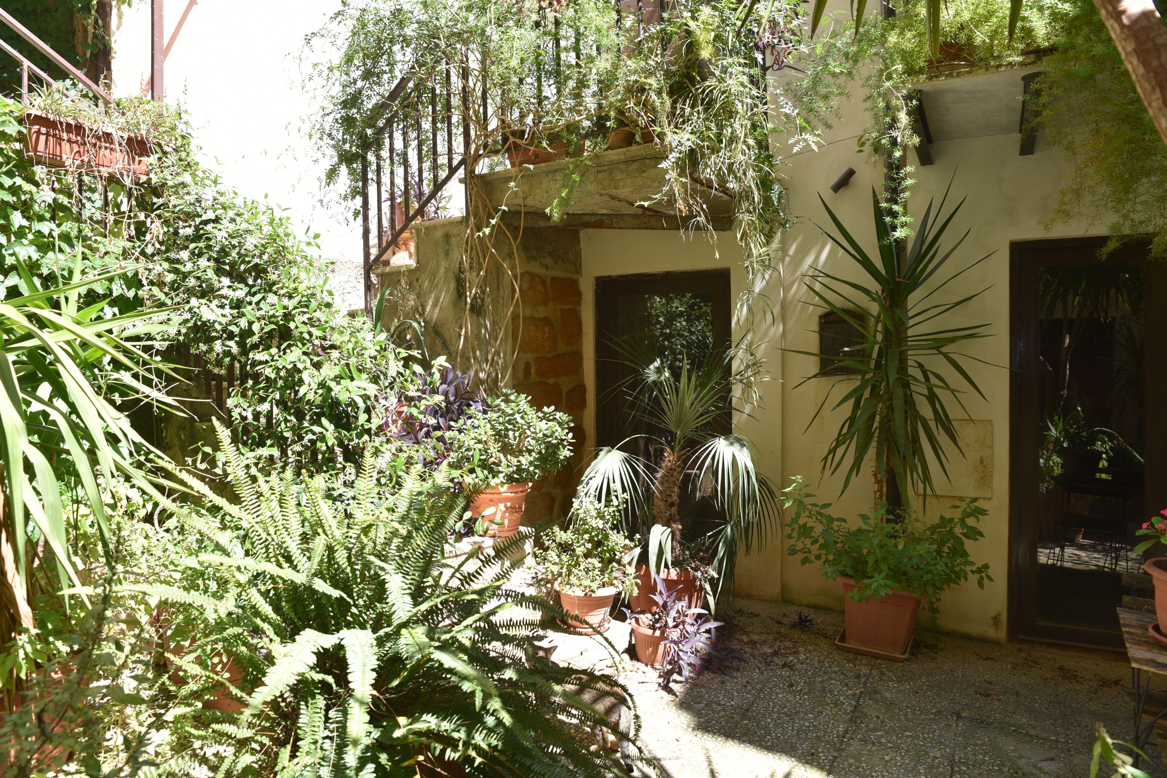 Un cortile con diverse piante in vaso, un muro in pietra e una scala in legno.