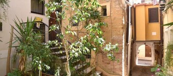 B&B Garden in the city