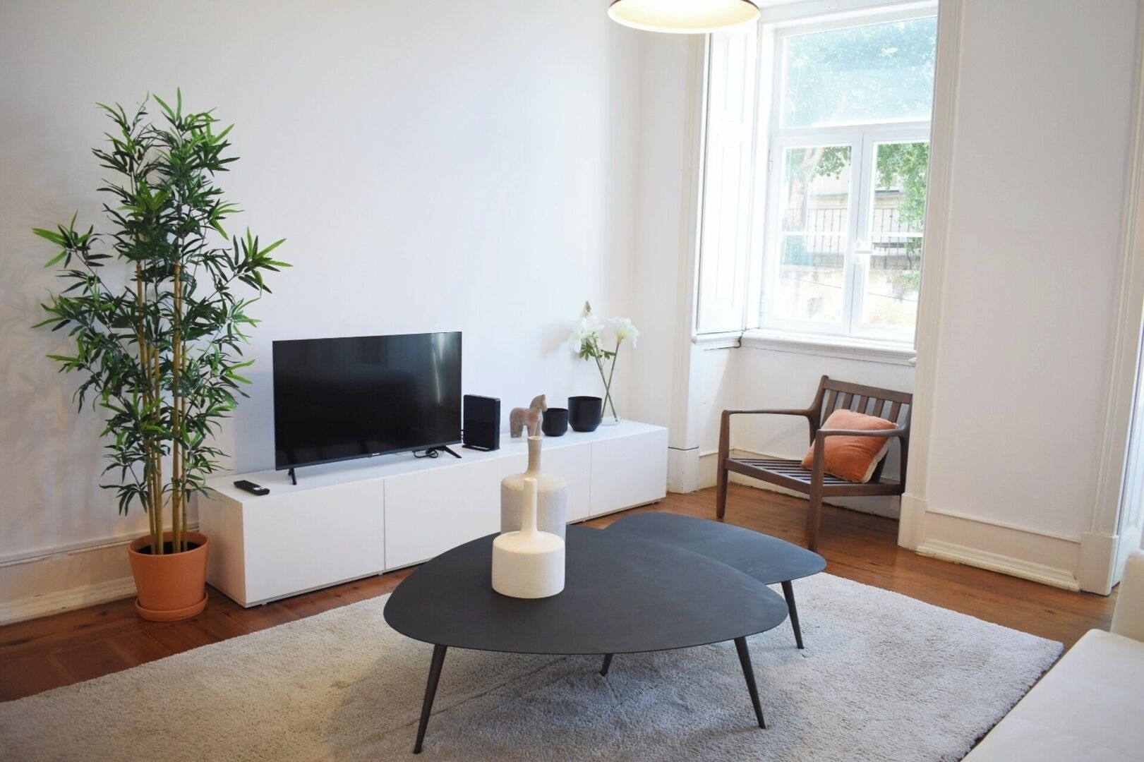 A modern living room with a flat-screen TV, a potted plant, a coffee table, and a window with a view.