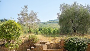 Une structure en pierre avec des marches menant à un mur, le tout entouré de verdure et d’arbres.