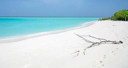Sunny Day Inn Maldives