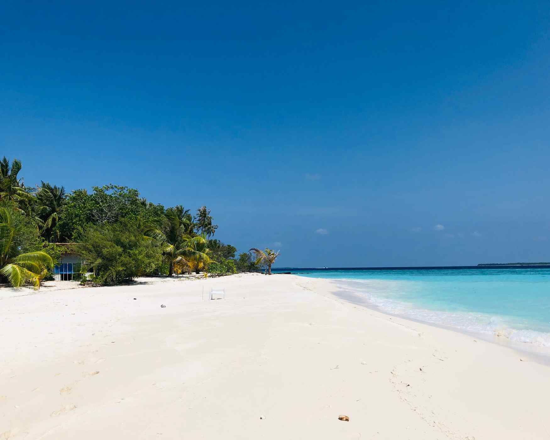 Una playa con arena blanca, aguas turquesas cristalinas y exuberante vegetación.
