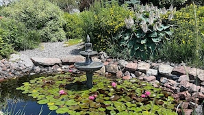 En damm med näckrosblad och rosa blommor, omgiven av stenar och grönska.