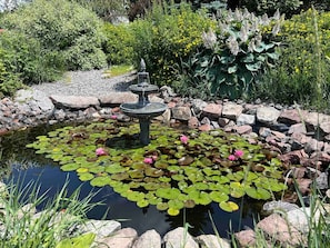 Ein Teich mit Seerosen und rosafarbenen Blüten, umgeben von Steinen und Grünpflanzen.