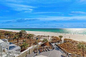 Blick auf einen Strand mit Promenadenweg, Palmen und blauem Himmel.
