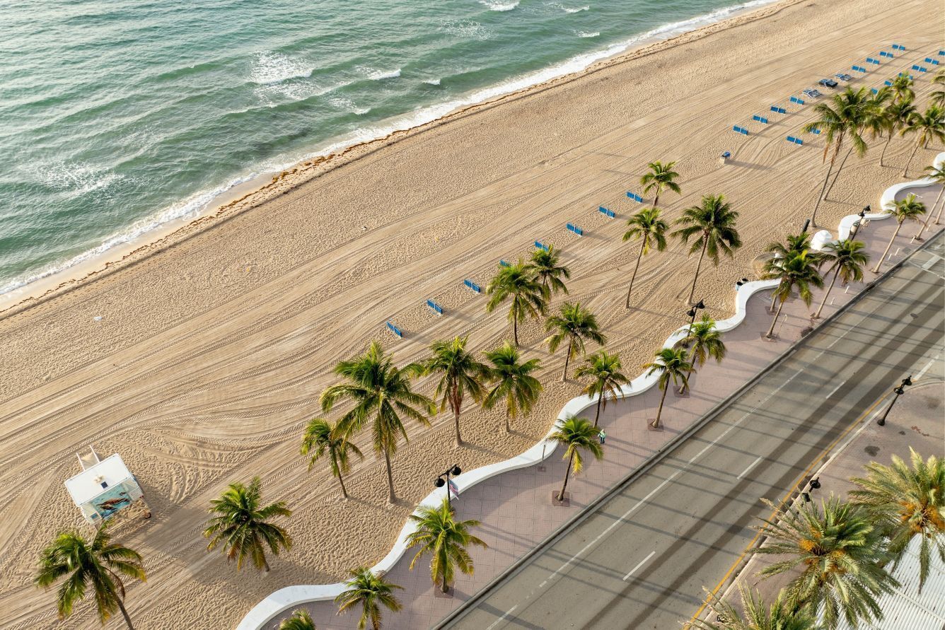 A beach with a paved walkway lined with palm trees and beach chairs.