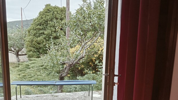 Ett rum med en skjutdörr i glas som leder ut till ett utomhusområde med en bänk och grönska.